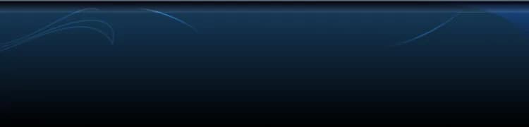 background category section